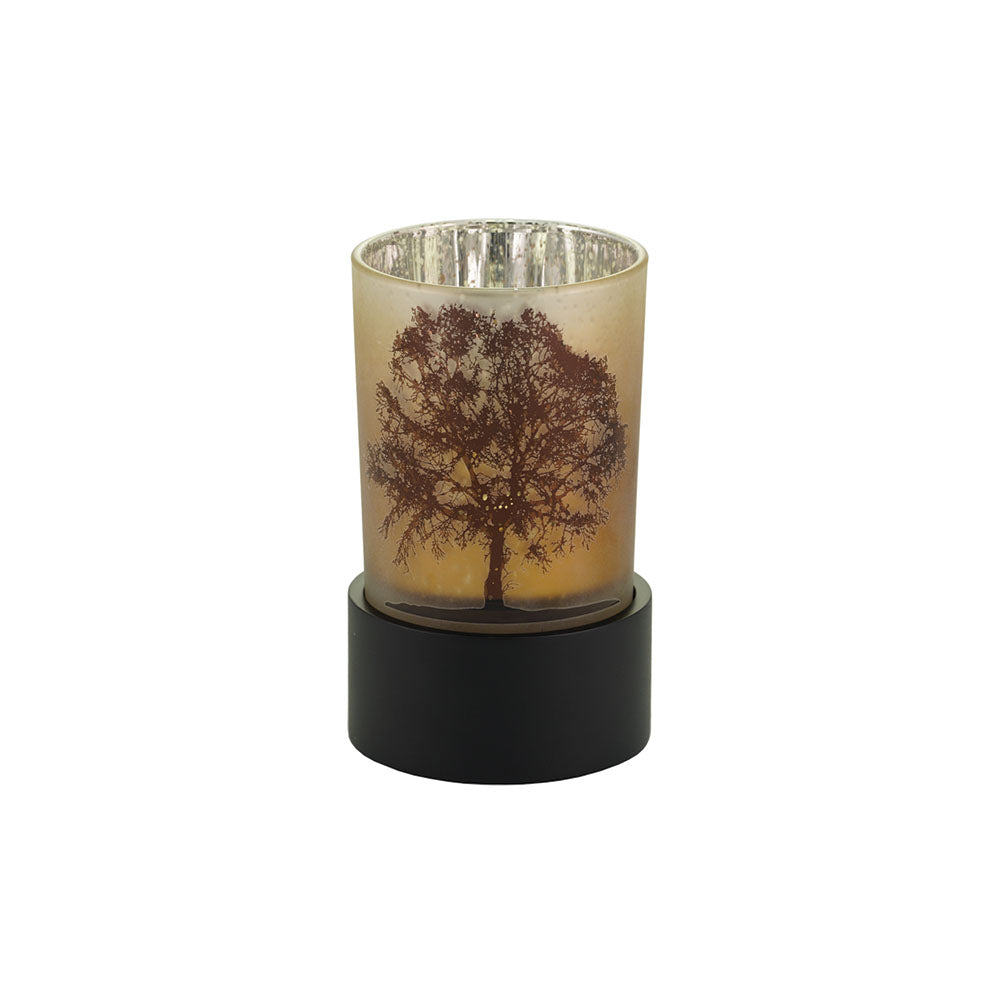 Illuminate product image 5