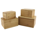 Bamboo Box - Bamboo