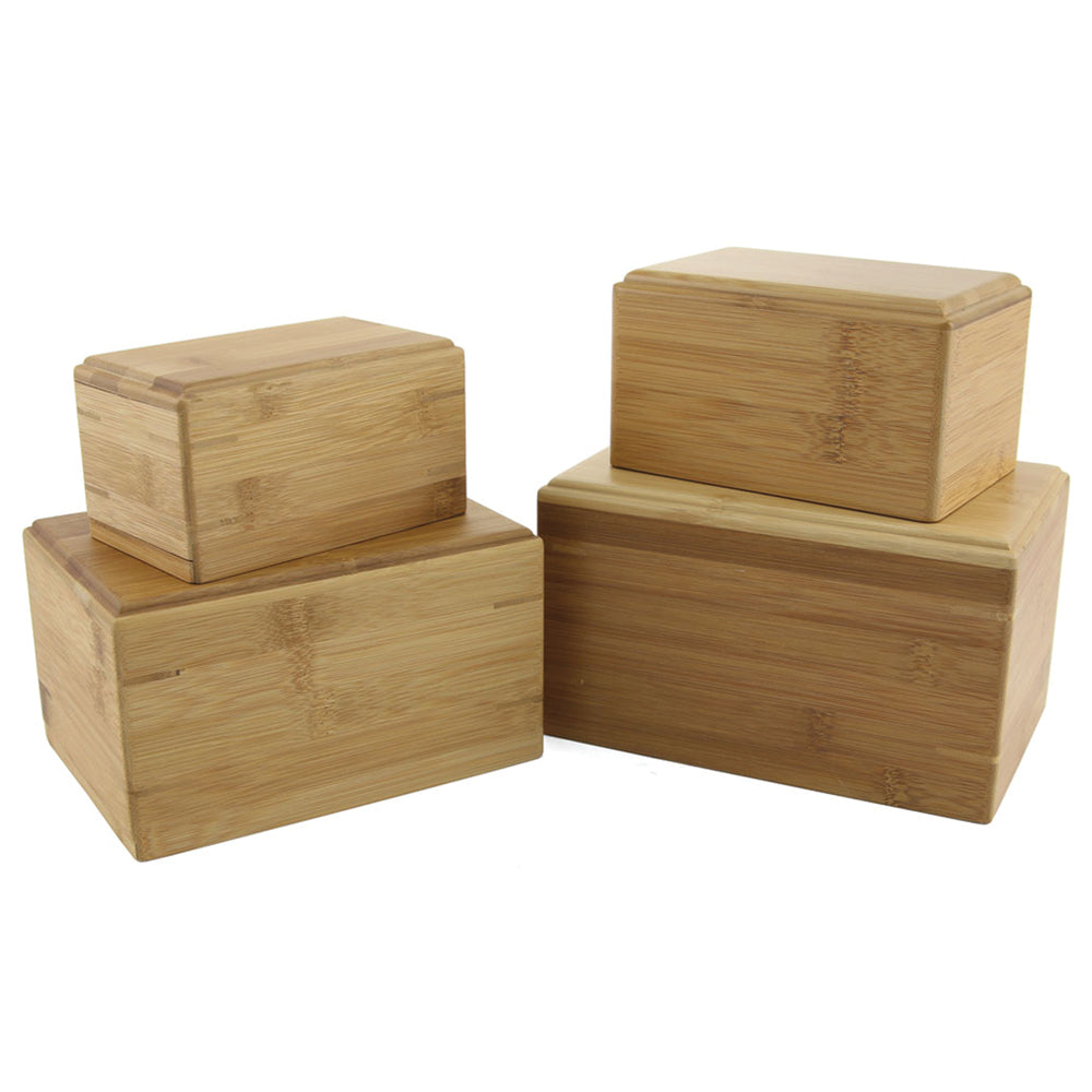 Bamboo Box - Bamboo