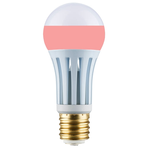 LED Pink Neck Bulb